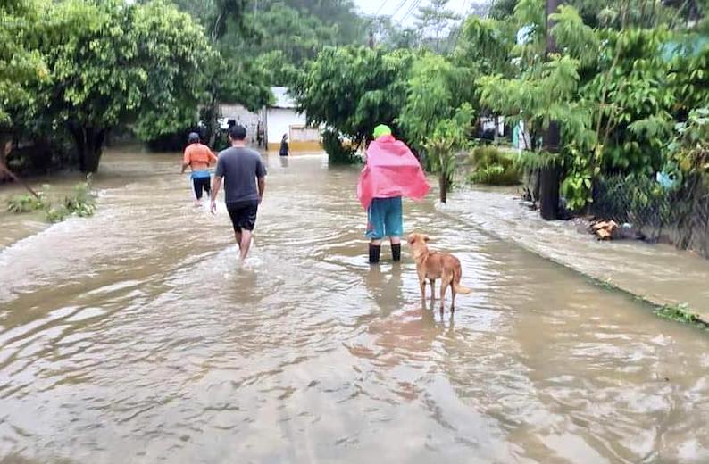 Lluvias Causan Da Os En M S De Casas En Chiapas Es Diario Popular